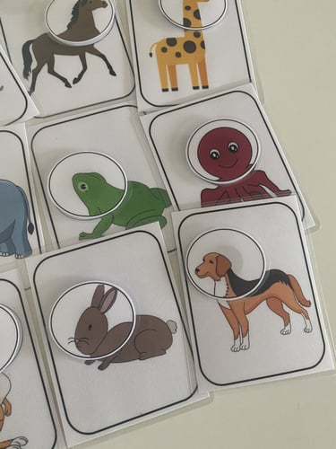 نشاط التعرف على الحيوانات ( منتج رقمي)