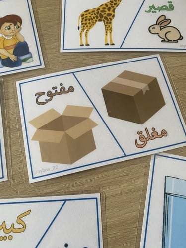 بطاقات المعكوسات