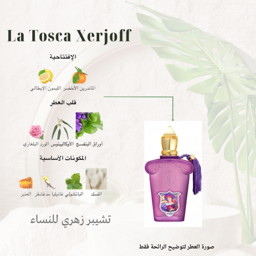 بديل كازاموراتي لاتوسكا من زيرجوف 50 مل