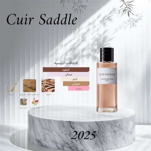 Christian Dior Cure Saddle alternative