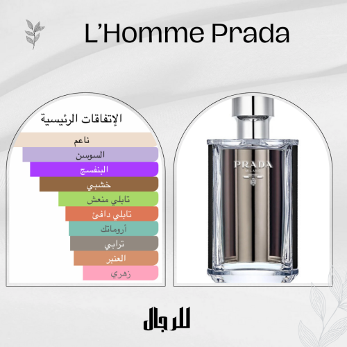 بديل برادا لوم للرجال