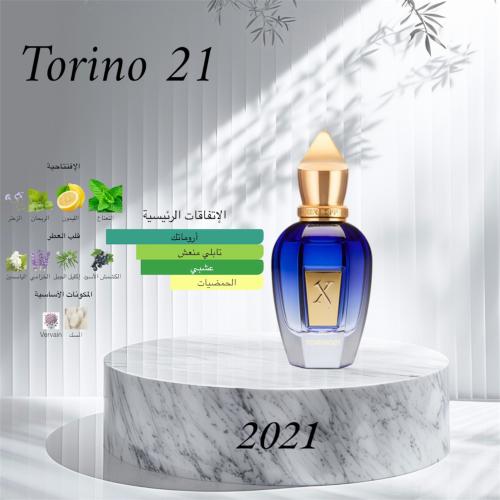 بديل زيرجوف تورينو ٢١