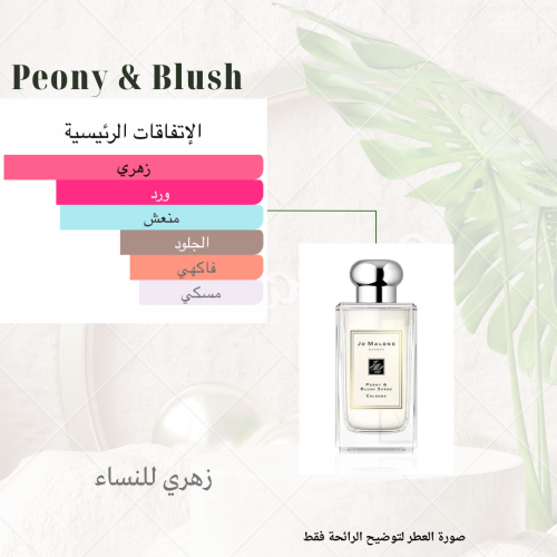 بديل جو مالون بيوني اند بلش