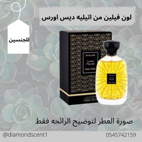 بديل اتيليه لون فيلين 50 مل