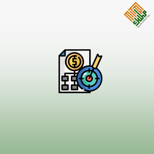 أدوات التخطيط والرقابة المالية