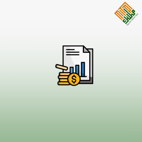 الإجراءات المالية في الخصخصة