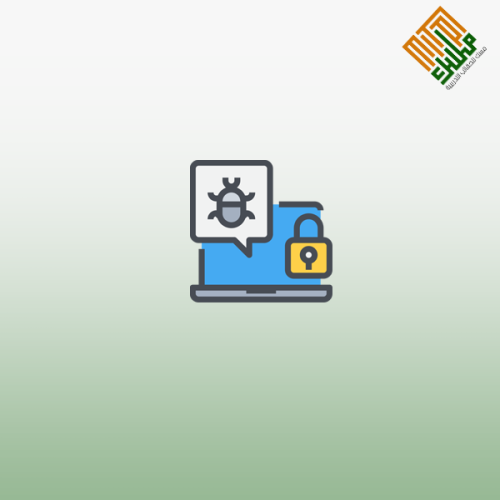 دبلوم إدارة أمن المعلومات