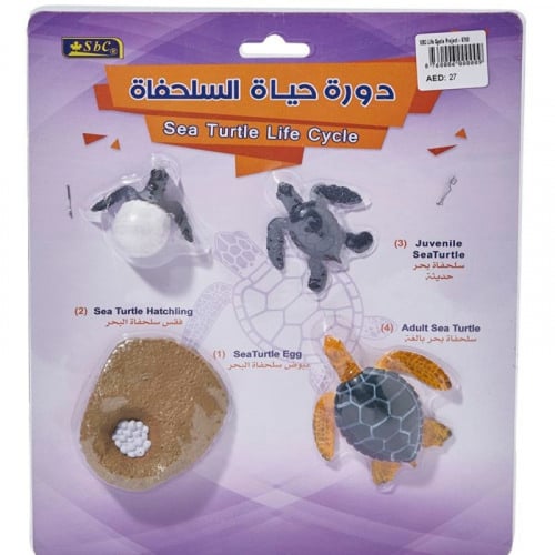 أشكال تعليمية ثلاثية الأبعاد تعلم دورة حياة مكونة...