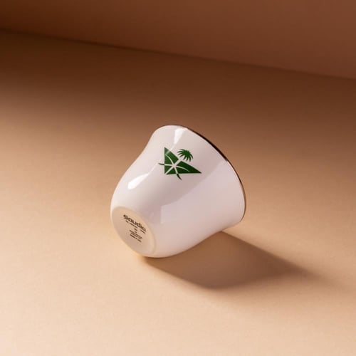 فنجال الخطوط السعودية - اصدار جديد