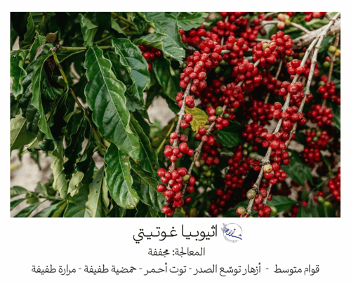 إثيوبيا غوتيتي - ٢٥٠ غرام