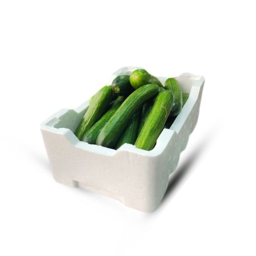 فلين خيار حجم وسط