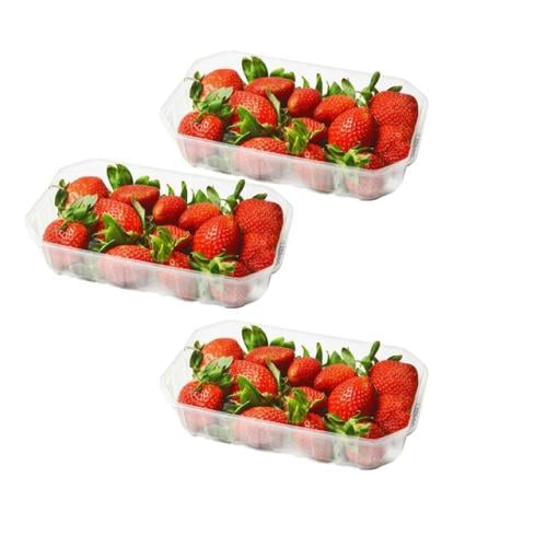 علبه فراولة مصري 250 جرام * 4حبات