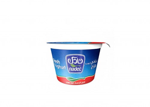زبادي نادك قليل الدسم 170جرام