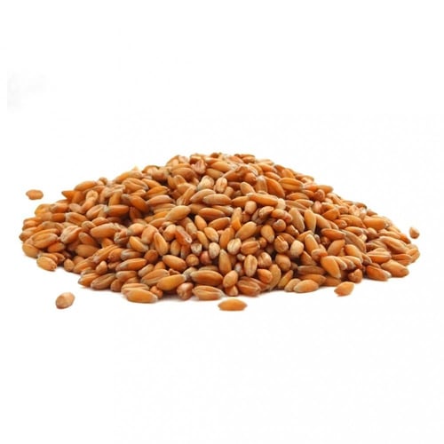 حب الرشاد او ( الثفاء )