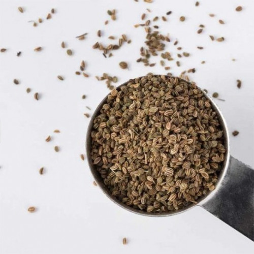 بذور الكرفس