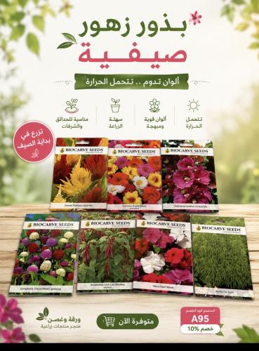 بكج الزهور الصيفية