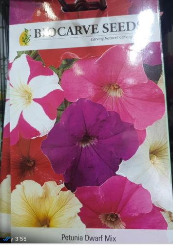 petunia MIX