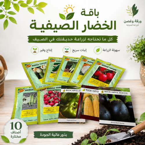 بذور الخضار الصيفية 10 اصناف