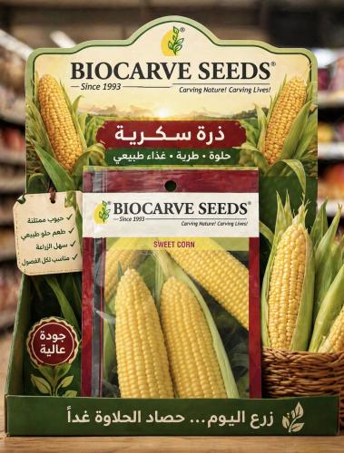 بذور ذرة سكرية