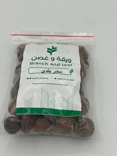 بذور سدر بلدي 50 بذرة)