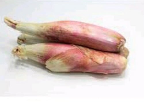 بذور بصل حساوي اخضر