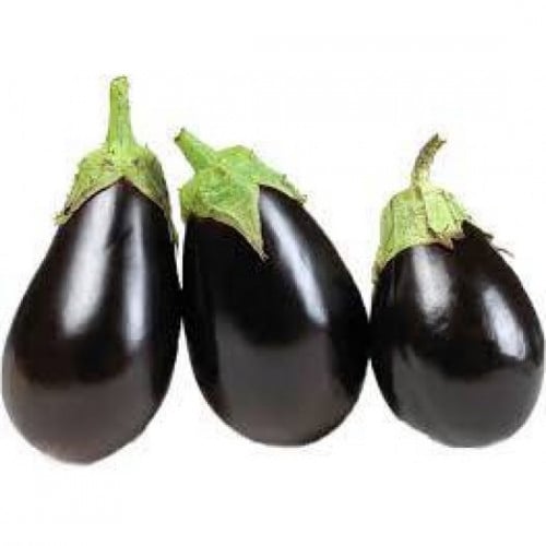 بذور باذنجان