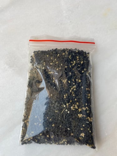 بذور بصل حساوي اخضر