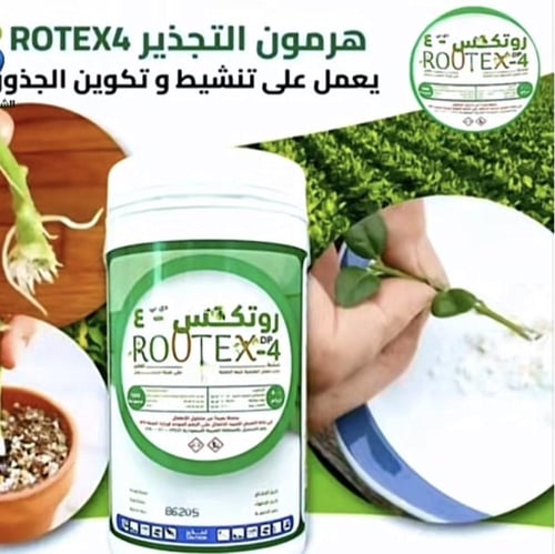 هرمون تجذير