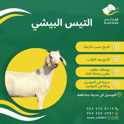 التيس البيشي الذيذ