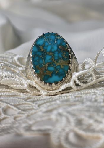 فيروز حسيني نيشابوري