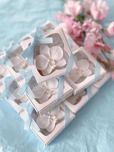 10 حبات توزيعات الأوركيد المعطر