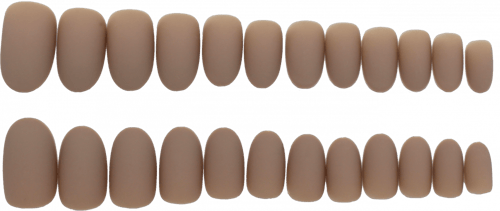 أظافر صناعية لصق ذاتي-KFN