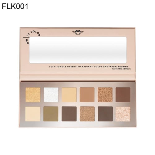 جيت ذا لوك 12 لون باليت ايشادو -FLK
