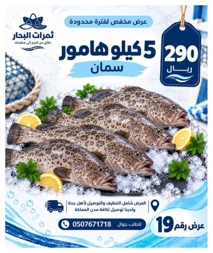 عرض 5 كيلو هامور سمان