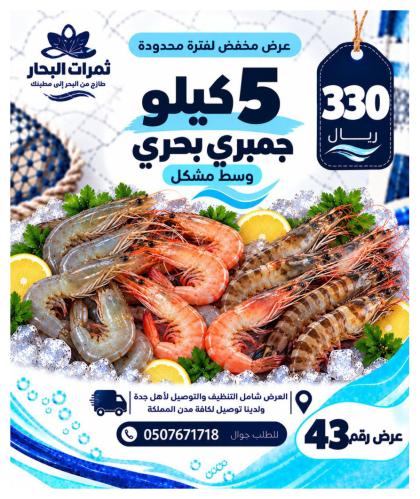 عرض 5 كيلو جمبري بحري