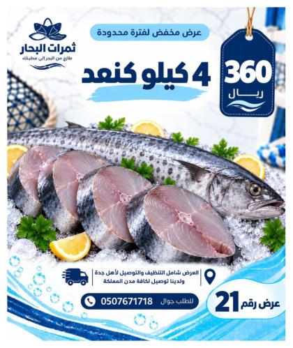 عرض 4 كيلو كنعد |