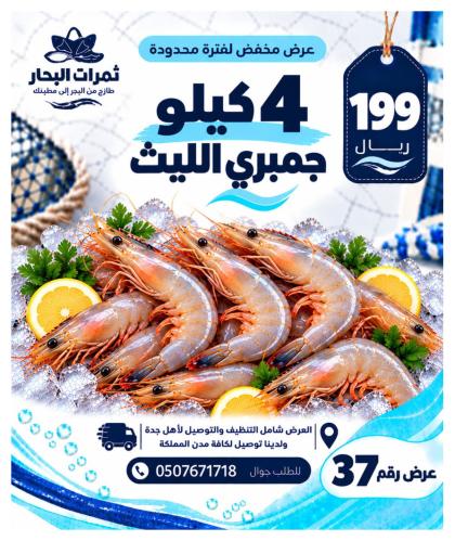 عرض 4 كيلو جمبري الليث