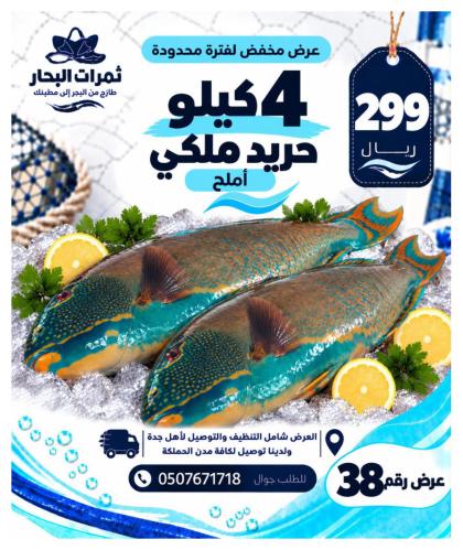 عرض 4 كيلو حريد ملكي