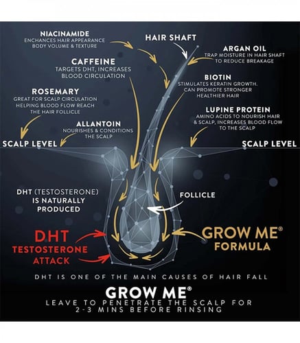 دبليو جرومي شامبو 250 مل