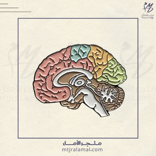 بروش الدماغ