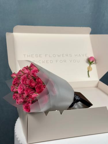 بيبي جوري وردي غامق