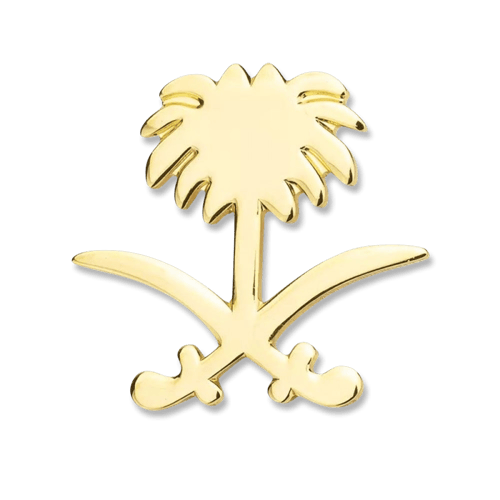 بروش سيفين و نخلة