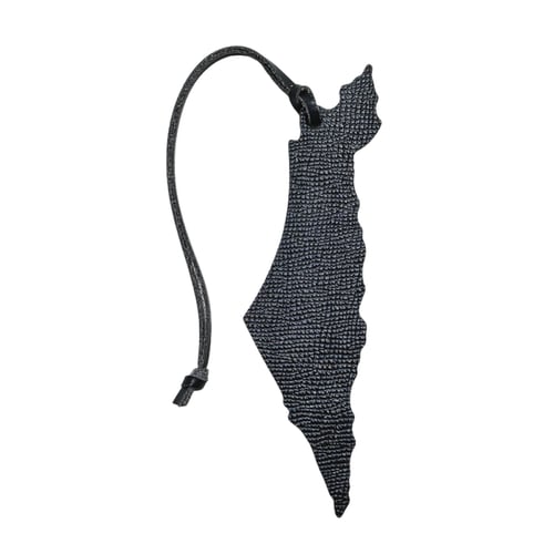 تعليقة فلسطين