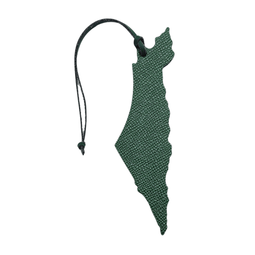 تعليقة فلسطين