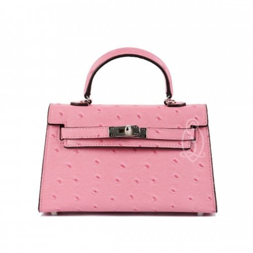 كيلي اوسترش | وردي