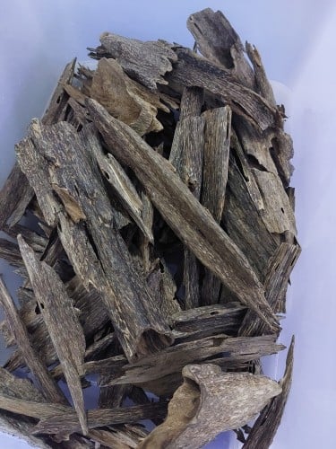 عود طبيعي كاوياي غابات