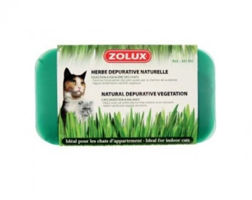 زولكس كاتنيب للقطط