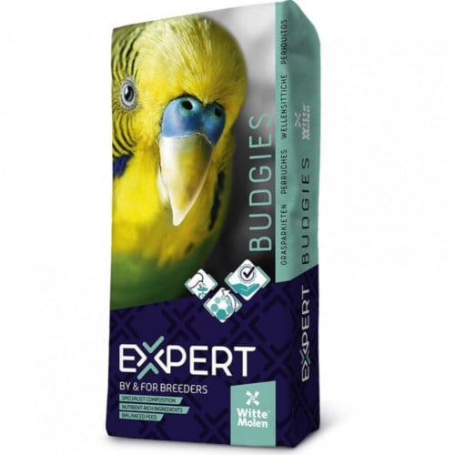 اكسبرت وايت مولن غذاء للبادجي