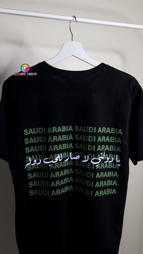 يا دولتي لاصار للحب دوله