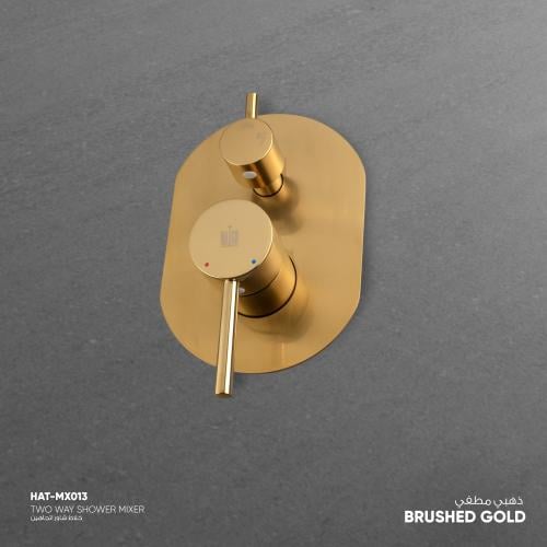 خلاط دش ثنائي الاتجاه MX013R